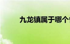 九龙镇属于哪个省哪个市 九龙镇 