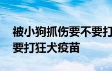 被小狗抓伤要不要打狂犬疫苗 小猫抓伤要不要打狂犬疫苗 