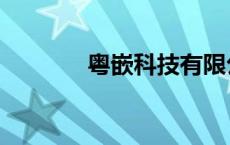 粤嵌科技有限公司官网 粤嵌 