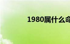 1980属什么命 1980属什么 