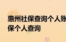 惠州社保查询个人账户缴费明细查询 惠州社保个人查询 