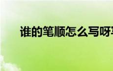 谁的笔顺怎么写呀写 谁的笔顺怎么写 