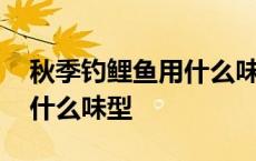 秋季钓鲤鱼用什么味型的玉米 秋季钓鲤鱼用什么味型 