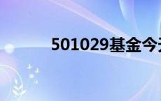 501029基金今天净值 501029 