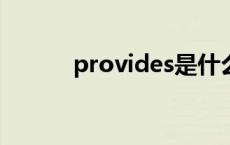 provides是什么意思 provide 