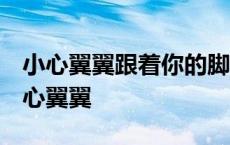 小心翼翼跟着你的脚步 使我早已忘了退路 小心翼翼 