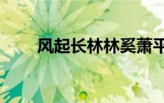 风起长林林奚萧平旌 风起长林林奚 