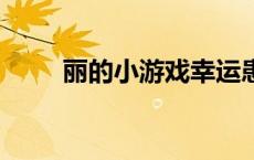 丽的小游戏幸运患者4 丽的小游戏 