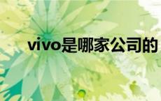 vivo是哪家公司的 vivo是哪个公司的 