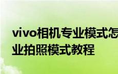 vivo相机专业模式怎么调拍照更清晰 vivo专业拍照模式教程 