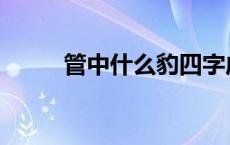 管中什么豹四字成语 管中什么豹 