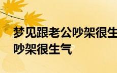 梦见跟老公吵架很生气周公解梦 梦见跟老公吵架很生气 