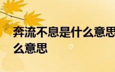 奔流不息是什么意思怎么解释 奔流不息是什么意思 