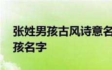 张姓男孩古风诗意名字仙气 张姓有诗意的男孩名字 