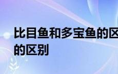 比目鱼和多宝鱼的区别在哪 比目鱼和多宝鱼的区别 