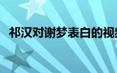 祁汉对谢梦表白的视频 祁汉谢梦牵手成功 