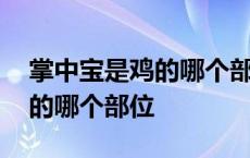 掌中宝是鸡的哪个部位百度百科 掌中宝是鸡的哪个部位 