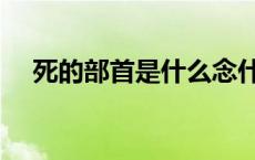 死的部首是什么念什么 死的部首是什么 