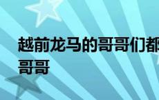 越前龙马的哥哥们都是弟控小说 越前龙马的哥哥 