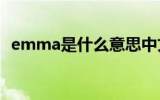 emma是什么意思中文 emma是什么意思 