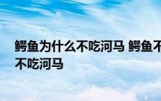 鳄鱼为什么不吃河马 鳄鱼不吃河马是什么原因 鳄鱼为什么不吃河马 