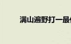 满山遍野打一最佳生肖 满山遍野 