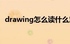 drawing怎么读什么意思 drawing怎么读 