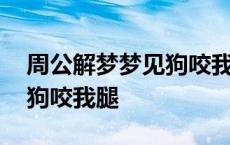 周公解梦梦见狗咬我腿出血了 周公解梦梦见狗咬我腿 