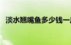 淡水翘嘴鱼多少钱一斤 翘嘴鱼多少钱一斤 