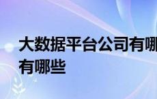 大数据平台公司有哪些类型 大数据平台公司有哪些 