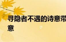 寻隐者不遇的诗意带拼音的 寻隐者不遇的诗意 