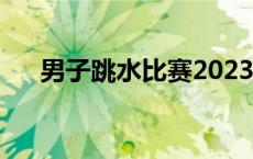 男子跳水比赛2023直播 男子跳水比赛 