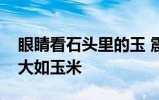 眼睛看石头里的玉 震惊女子眼里不断出石头大如玉米 