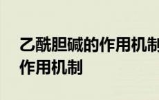 乙酰胆碱的作用机制是MN受体 乙酰胆碱的作用机制 