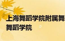 上海舞蹈学院附属舞蹈学校2024年招生 上海舞蹈学院 