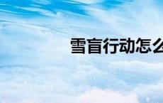 雪盲行动怎么过 雪盲行动 