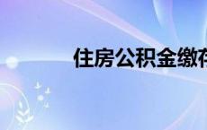 住房公积金缴存比例 y币比例 