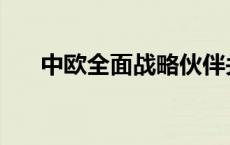 中欧全面战略伙伴关系 战略伙伴关系 