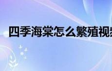 四季海棠怎么繁殖视频 四季海棠怎么繁殖 