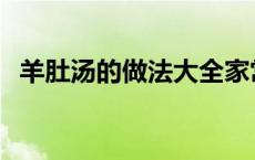 羊肚汤的做法大全家常 羊肚汤的做法大全 