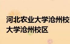 河北农业大学沧州校区有什么专业? 河北农业大学沧州校区 