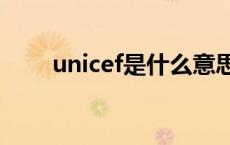 unicef是什么意思 mtv是什么意思 