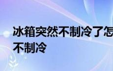 冰箱突然不制冷了怎么办教你一招 冰箱突然不制冷 