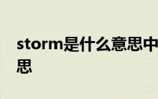 storm是什么意思中文 StormMedia什么意思 