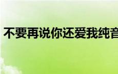 不要再说你还爱我纯音乐 不要再说你还爱我 