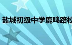 盐城初级中学鹿鸣路校区介绍 盐城初级中学 