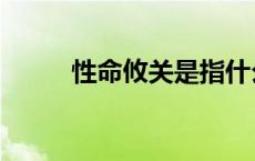 性命攸关是指什么意思 性命攸关 