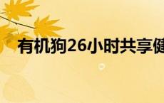 有机狗26小时共享健身 26小时抢头柱香 