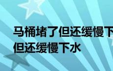 马桶堵了但还缓慢下水怎么办妙招 马桶堵了但还缓慢下水 