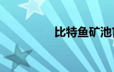 比特鱼矿池官网 比特鱼 